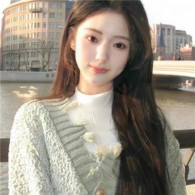 侠盗正传 封面