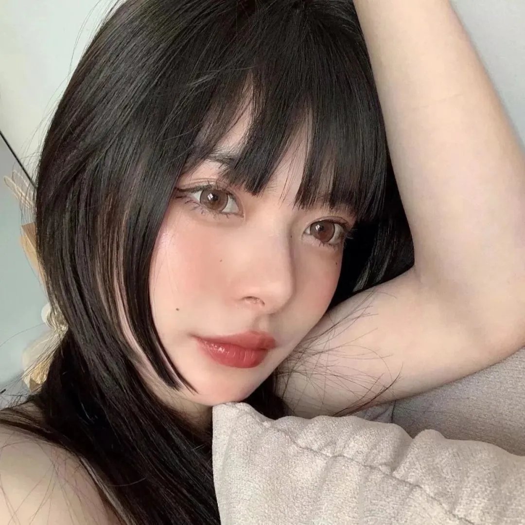 森林之北 封面